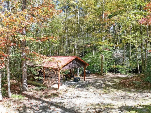 a small garden covered with tall trees