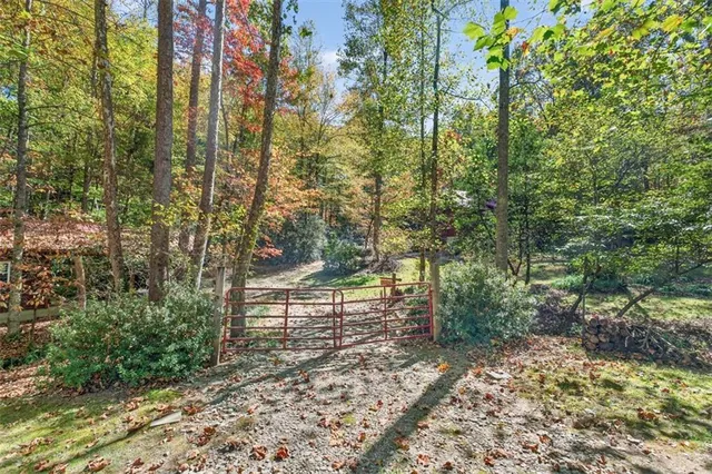 a view of yard with green space