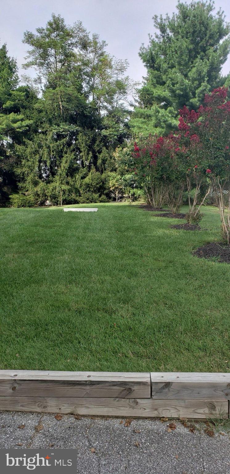8338 Old Montgomery Road Columbia, MD 21045 - Photo 4 of 54 Landscaped Yard