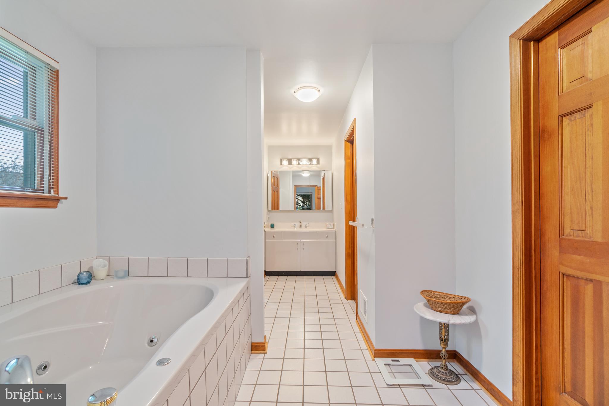 8338 Old Montgomery Road Columbia, MD 21045 - Photo 41 of 54 Primary Bathroom
