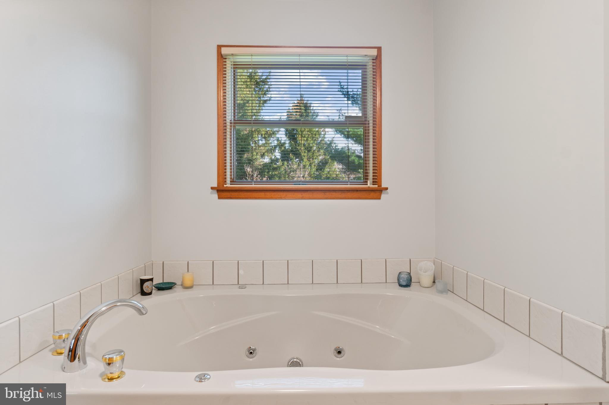 8338 Old Montgomery Road Columbia, MD 21045 - Photo 42 of 54 Jacuzzi Tub