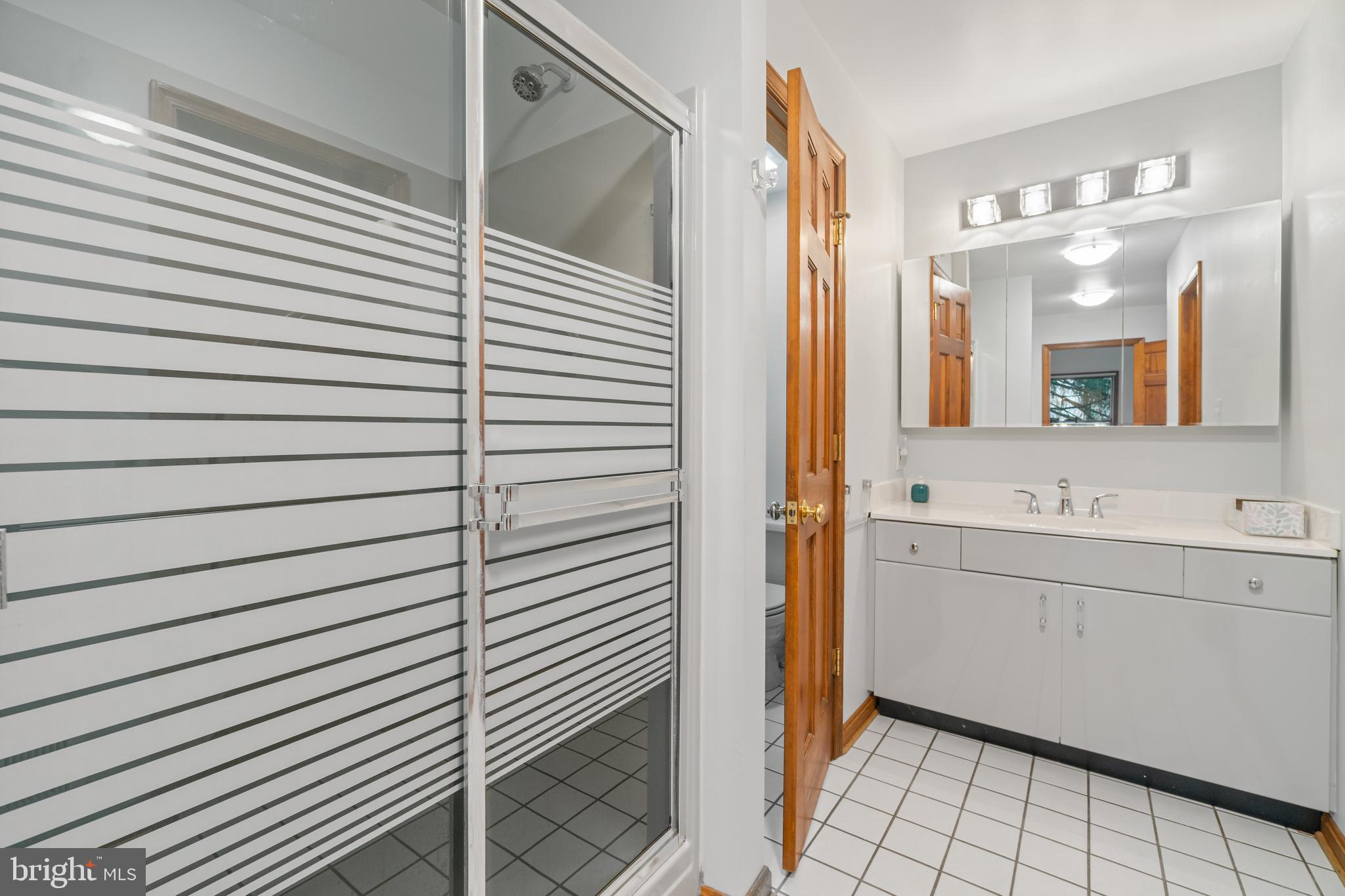 8338 Old Montgomery Road Columbia, MD 21045 - Photo 43 of 54 Bathroom