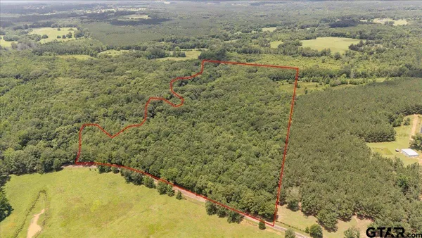 $199,900 | 38.110 Ac Cr, Mount Enterprise, TX 75681