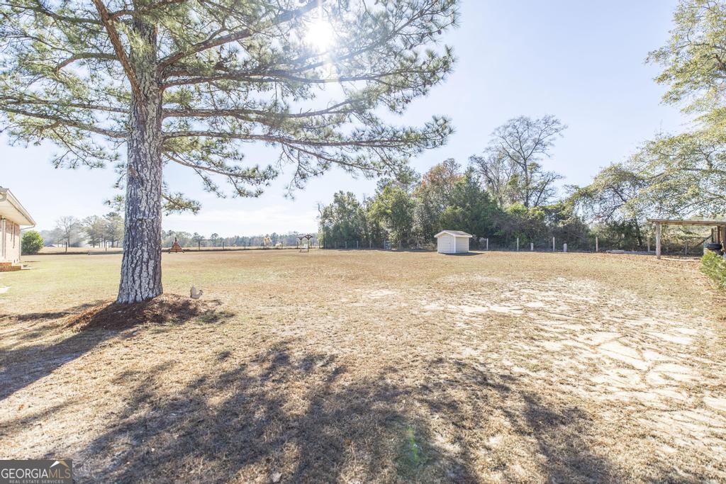 26 Mt Olive Church Road Reynolds, GA 31076 - Photo 31 of 32