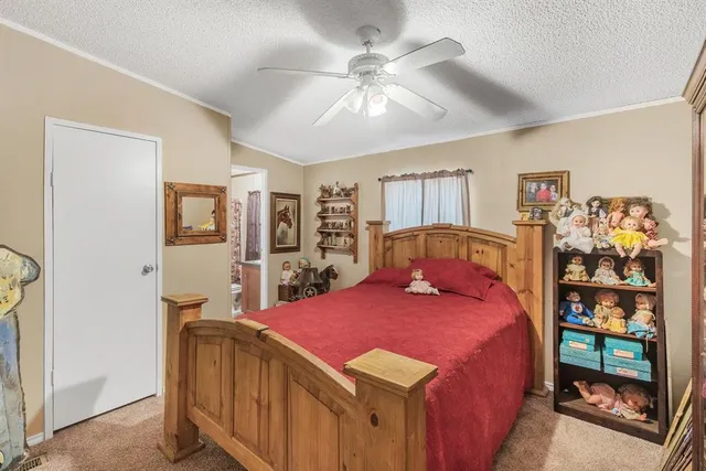 $248,999 | 4248 Rs County Road 1495, Emory, TX 75440