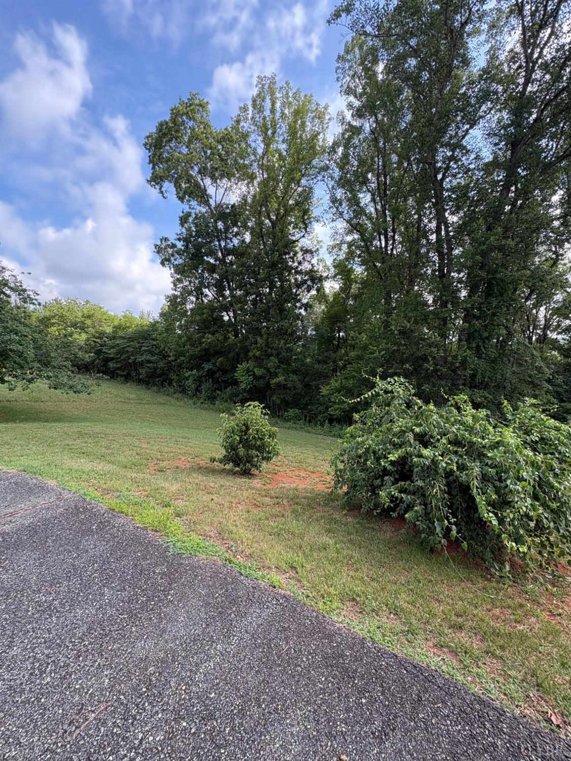 1060 Pocket Road Hurt, VA 24563 - Photo 7 of 55