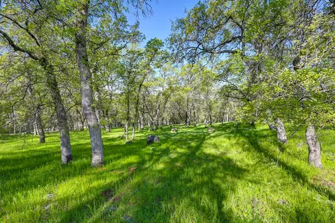 a view of yard with green space
