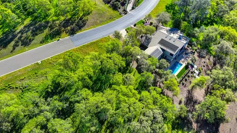 a view of a garden with plants