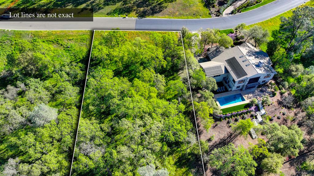 4075 Raphael Drive El Dorado Hills, CA 95762 - Photo 2 of 17 a view of a garden with plants