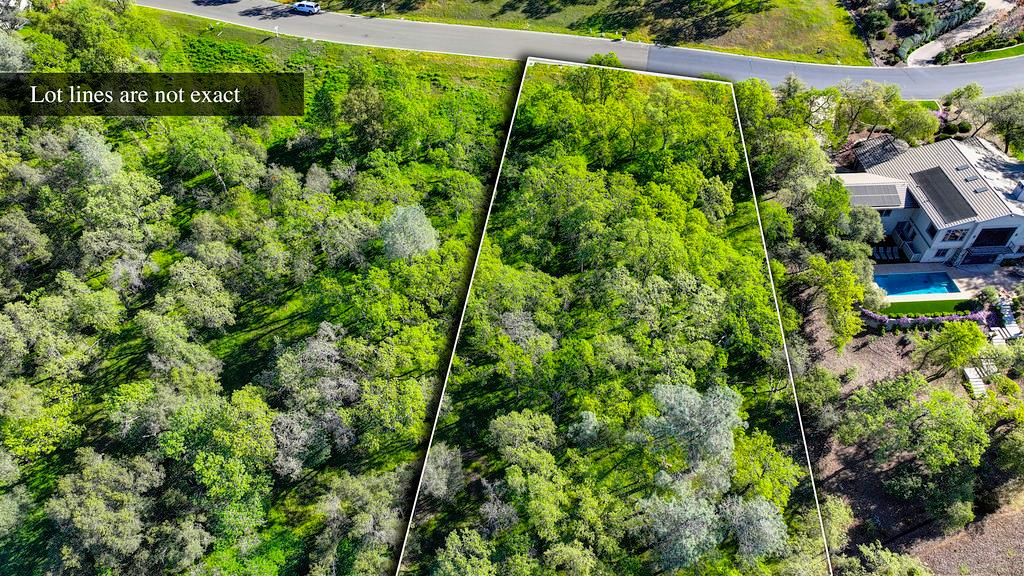 4075 Raphael Drive El Dorado Hills, CA 95762 - Photo 3 of 17 a view of a yard with plants