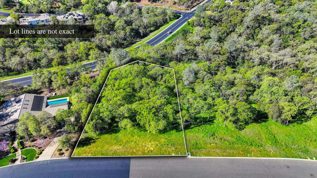 4075 Raphael Drive El Dorado Hills, CA 95762 - Photo 4 of 17 a view of a garden