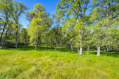 a backyard of a house with swimming pool