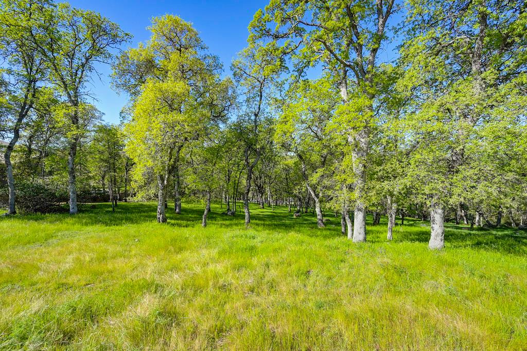 4075 Raphael Drive El Dorado Hills, CA 95762 - Photo 6 of 17 a backyard of a house with swimming pool