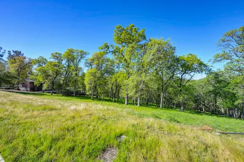 a view of a field with trees in the background
