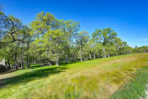 a view of a trees with a yard