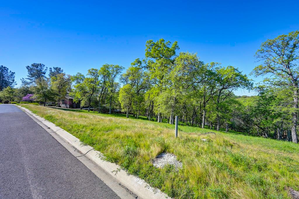 4075 Raphael Drive El Dorado Hills, CA 95762 - Photo 10 of 17 a view of a yard with a tree