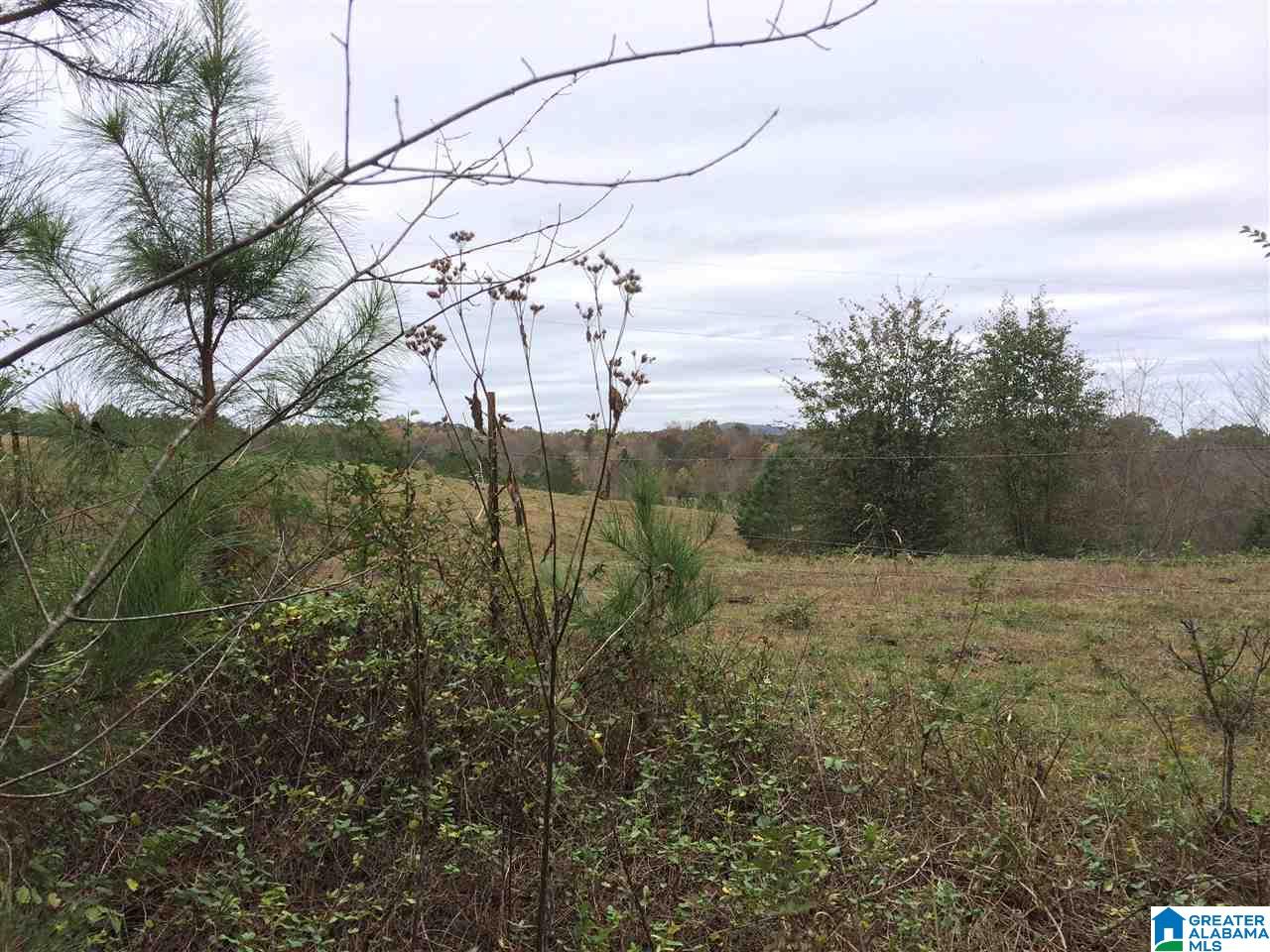 Page Spring Road, Unit 4 Arab, AL 35016 - Photo 26 of 29