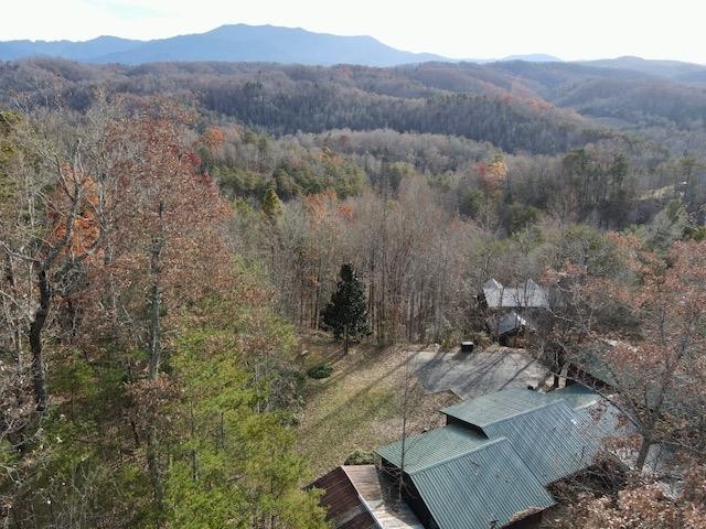 2001 Regans Ridge Way, Unit RIDGETOPLODGE Sevierville, TN 37876 - Photo 3 of 40 Gallery Image 3