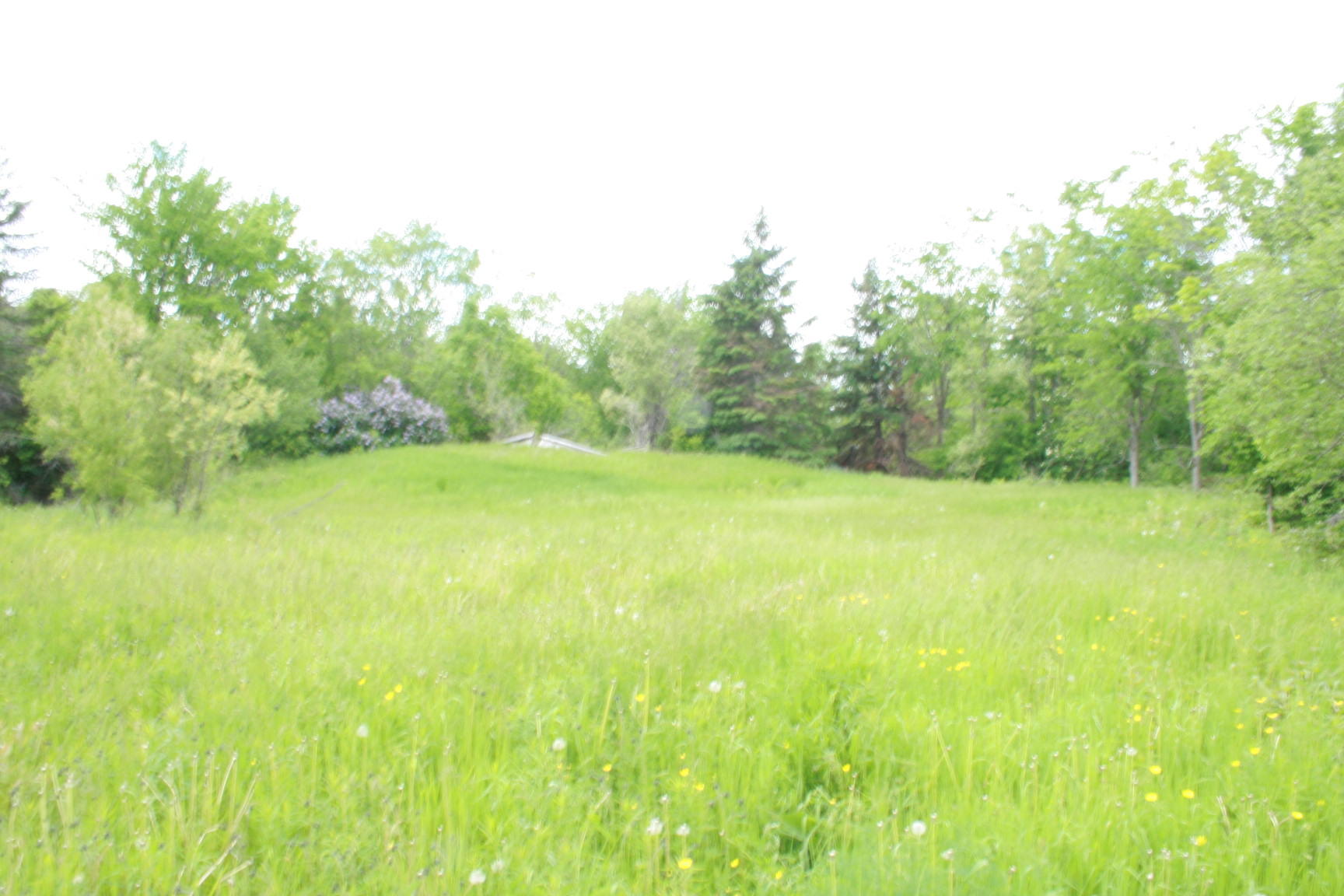 0 Roix Road New Limerick, ME 04761 - Photo 13 of 22 IMG_3606