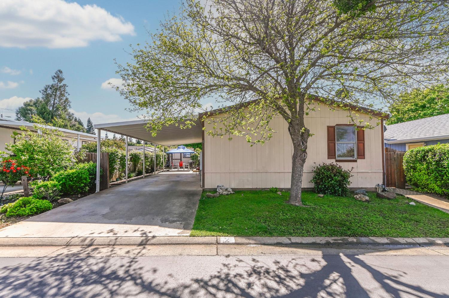 1400 West Marlette Street, Unit 2 Ione, CA 95640 - Photo 48 of 79 a view of a yard with plants and a large tree