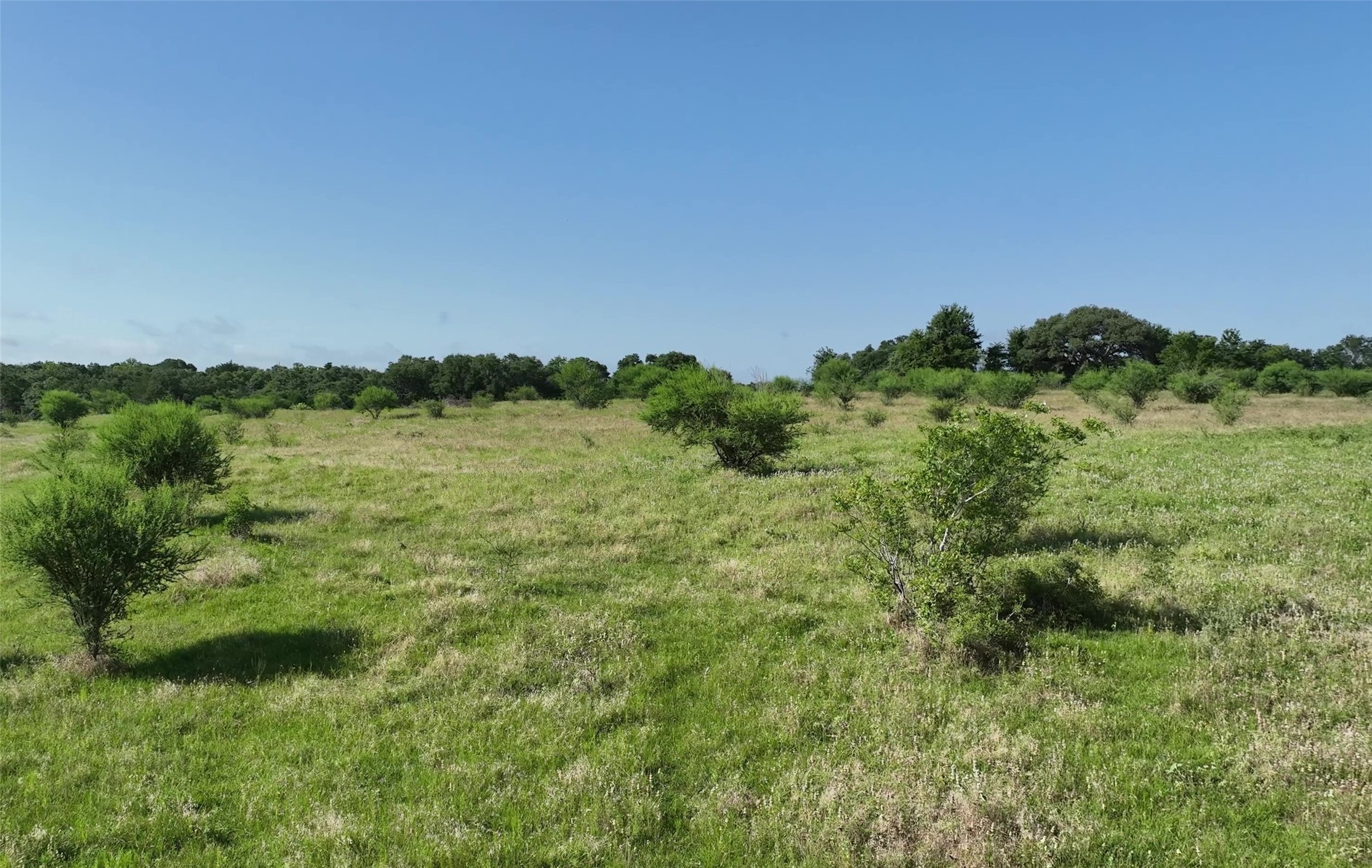 209 Cr 209 Road Weimar, TX 78962 - Photo 2 of 7