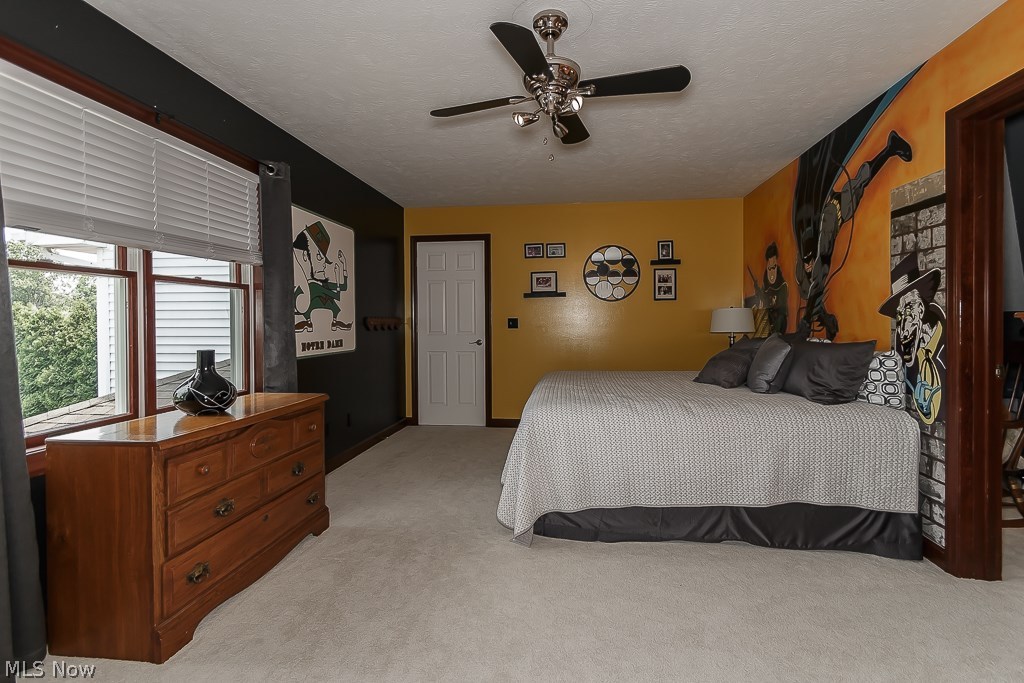 2495 Antioch Road Perry, OH 44081 - Photo 17 of 33 This room reserved for super heroes.