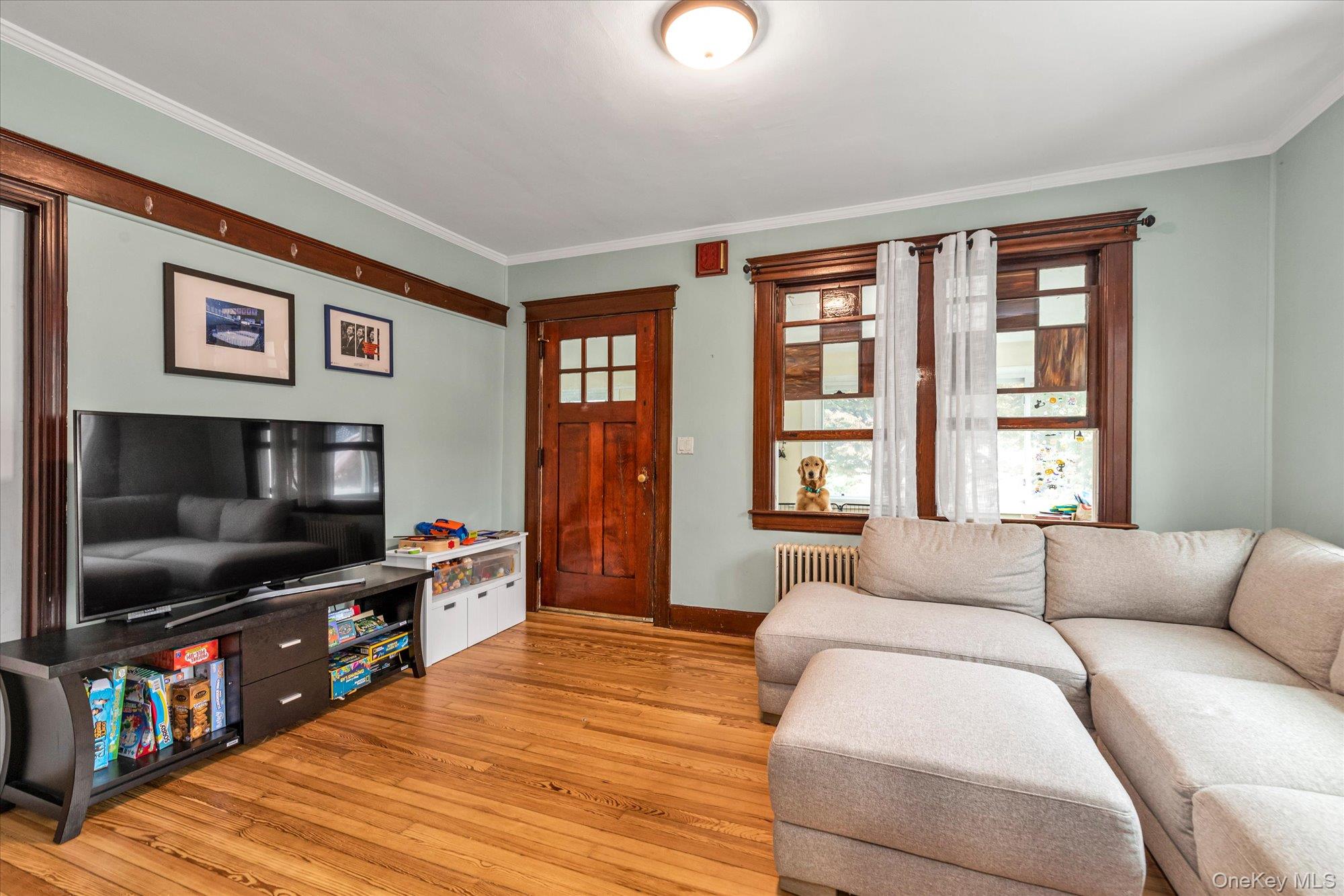 1894 Commonwealth Avenue Merrick, NY 11566 - Photo 5 of 22 a living room with furniture and a flat screen tv