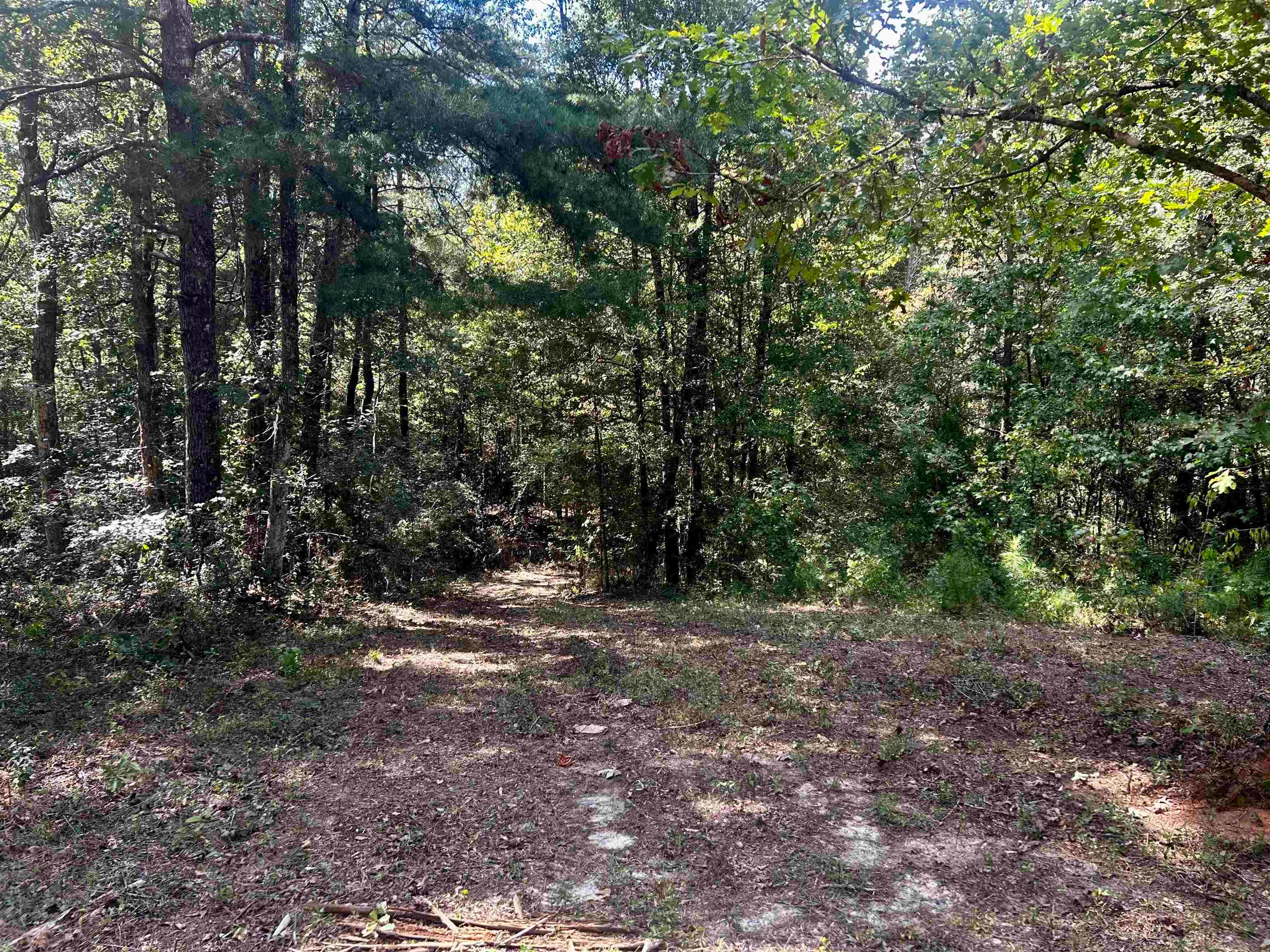 Swinson Road Red Level, AL 36474 - Photo 11 of 19 Gallery Image 11