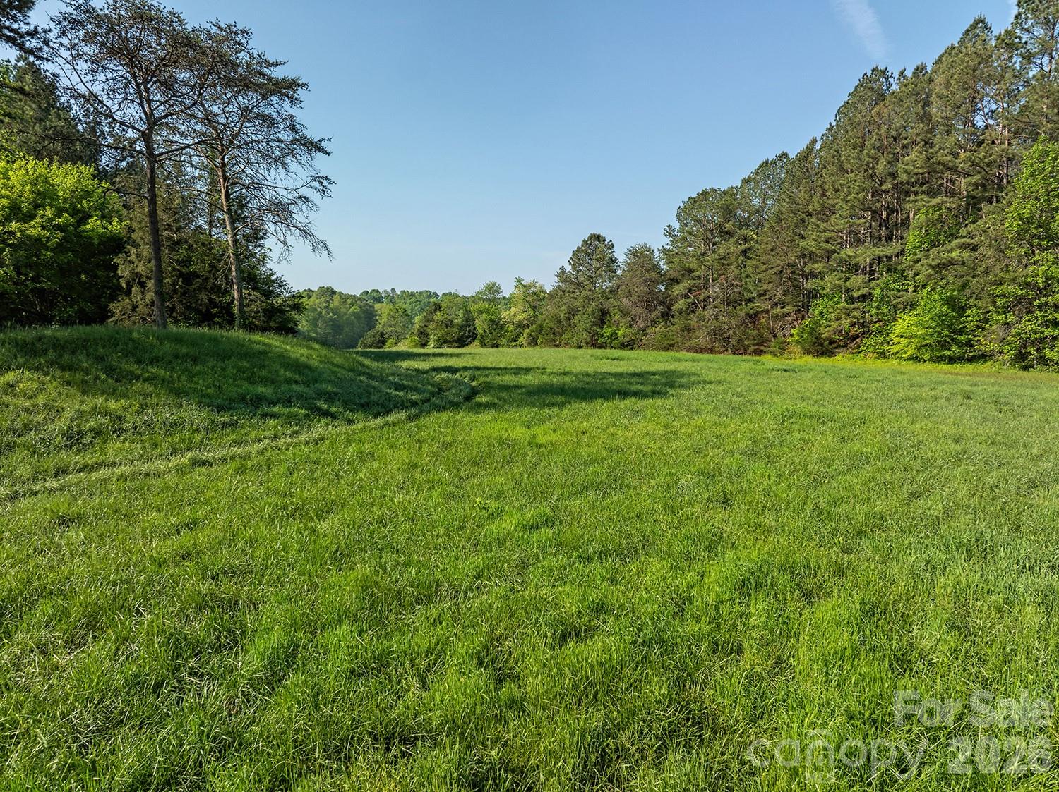 5555 Groves Road Union Mills, NC 28167 - Photo 20 of 26 a view of field with tall trees