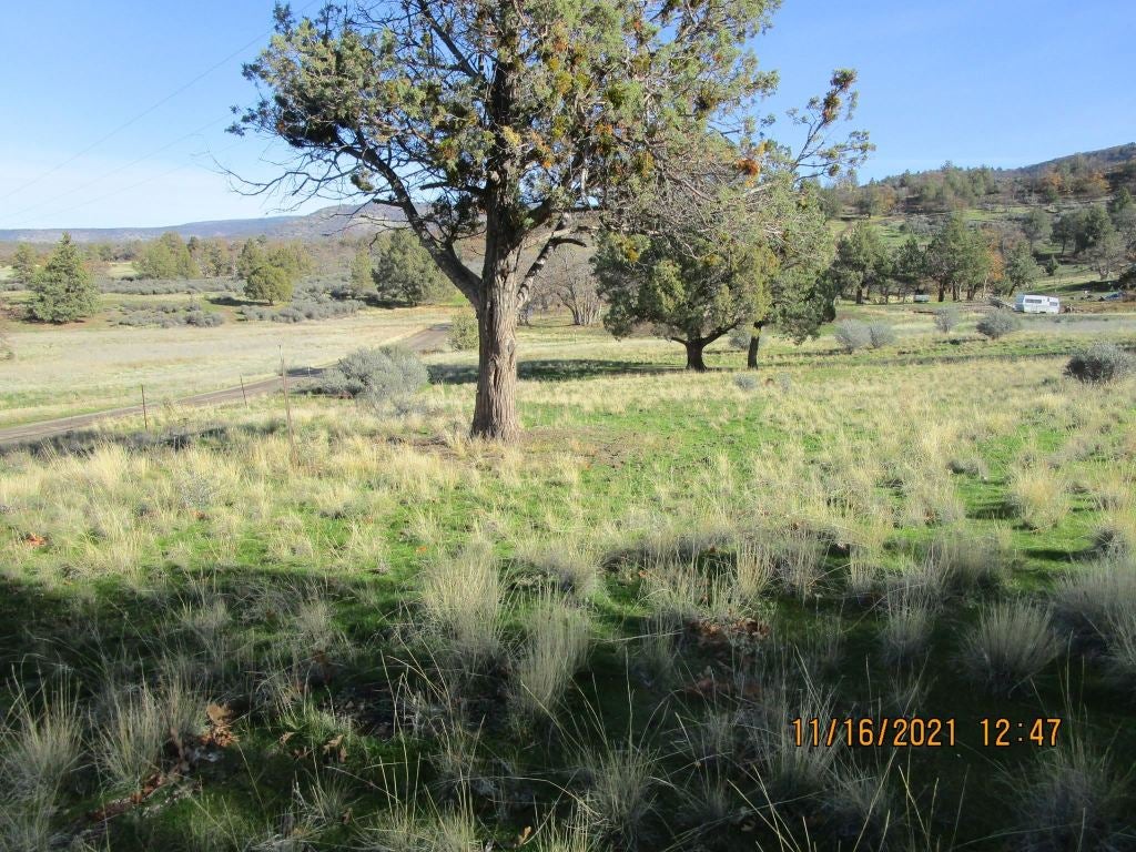 10821 Omega Road Montague, CA 96064 - Photo 6 of 21 Gallery Image 6