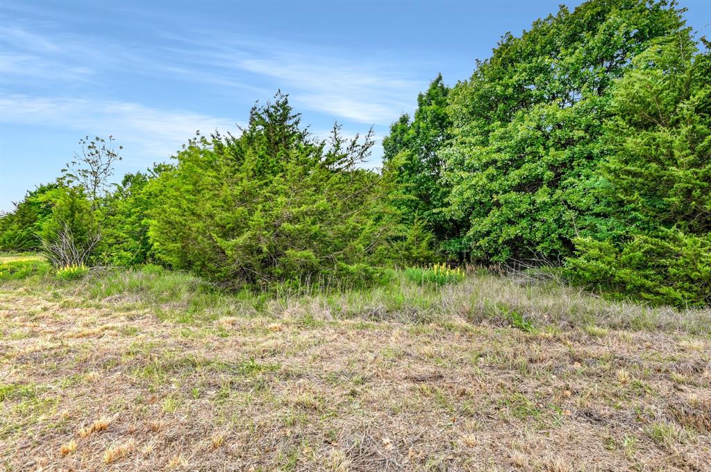 Tbd Airport Road Tioga, TX 76271 - Photo 23 of 28 a view of a yard with plants and a tree