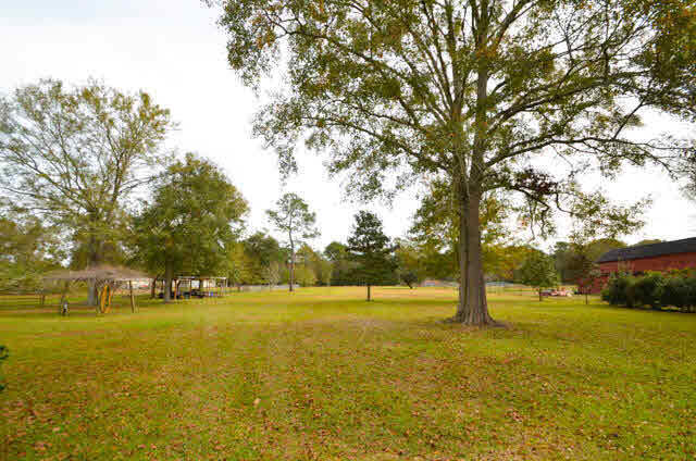 8851 Schoener Road Grand Bay, AL 36541 - Photo 22 of 24