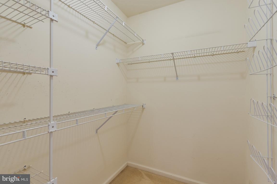 6192 Good Hunters Ride Columbia, MD 21045 - Photo 24 of 42 Primary Walk In Closet