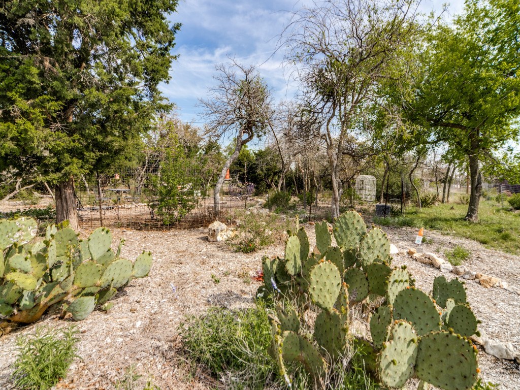 7991 Ranch Road 965 Fredericksburg, TX 78624 - Photo 32 of 49