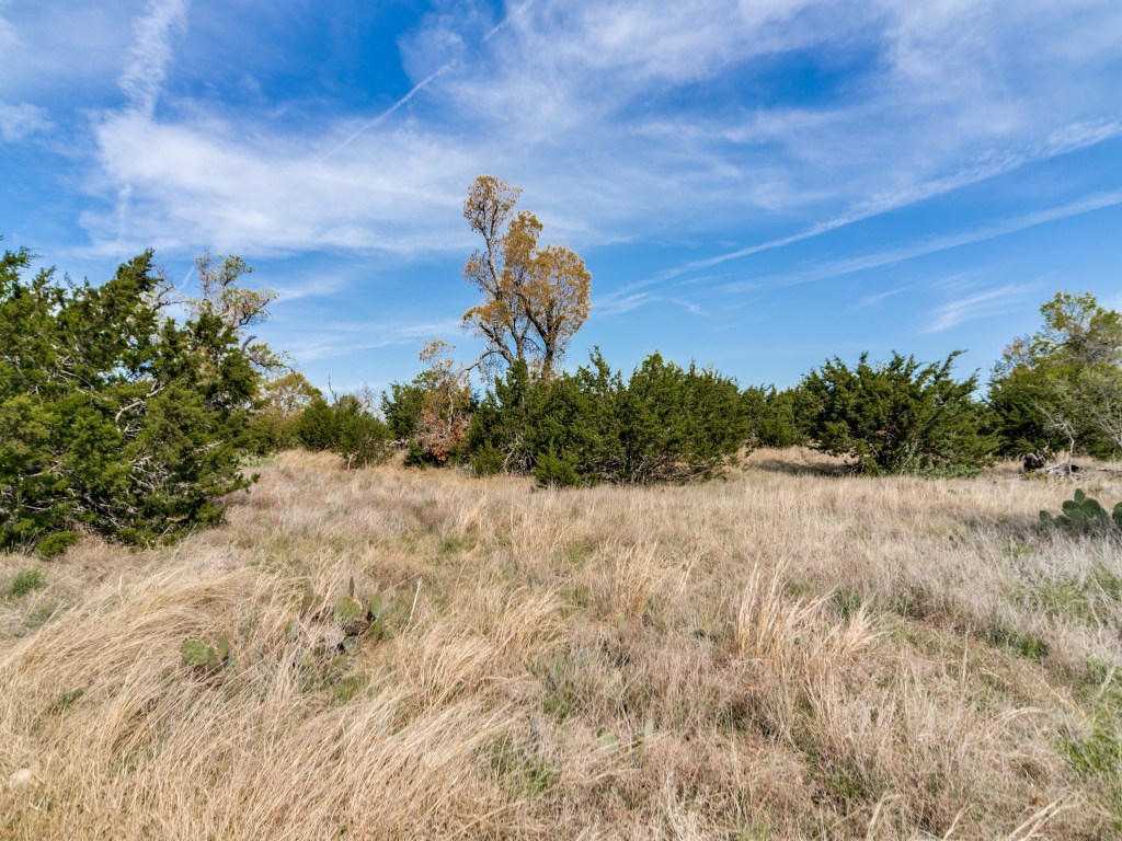 7991 Ranch Road 965 Fredericksburg, TX 78624 - Photo 38 of 49