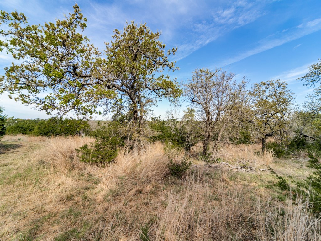 7991 Ranch Road 965 Fredericksburg, TX 78624 - Photo 39 of 49