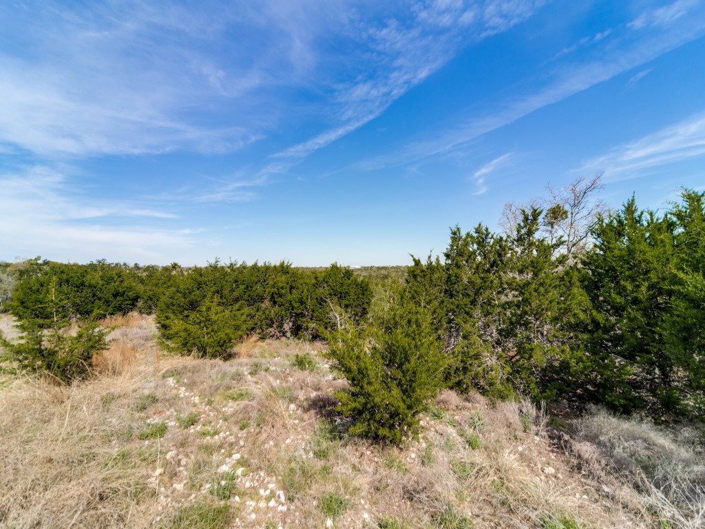 7991 Ranch Road 965 Fredericksburg, TX 78624 - Photo 40 of 49