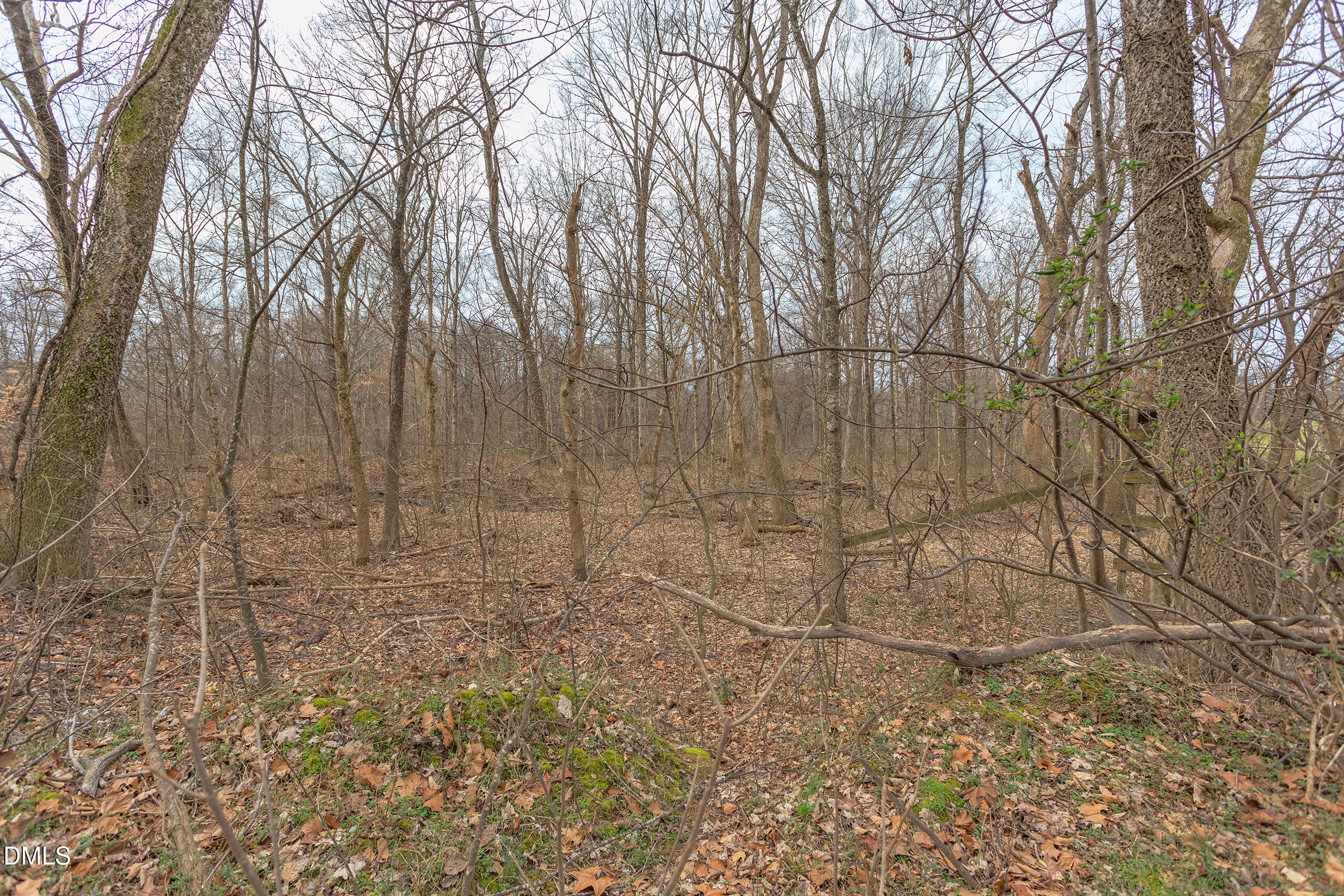 624 Bowen Road Rougemont, NC 27572 - Photo 15 of 20 a backyard of a house with lots of green space