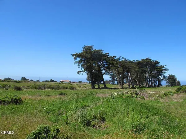 a view of a grassy area with an trees