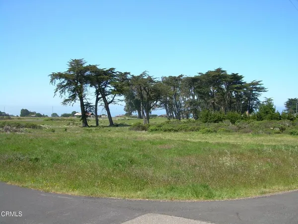 a view of outdoor space with green field