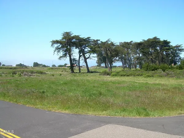 a view of grassy field with trees