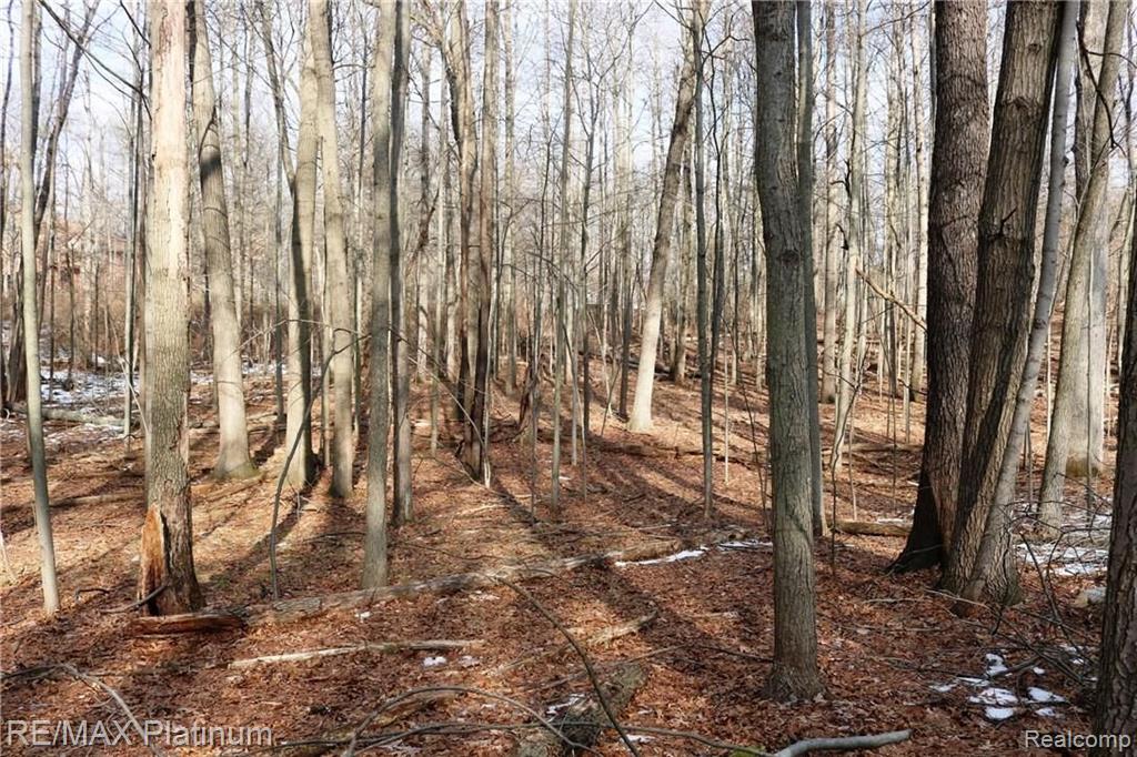 2 Maltby Road Brighton, MI 48116 - Photo 2 of 7