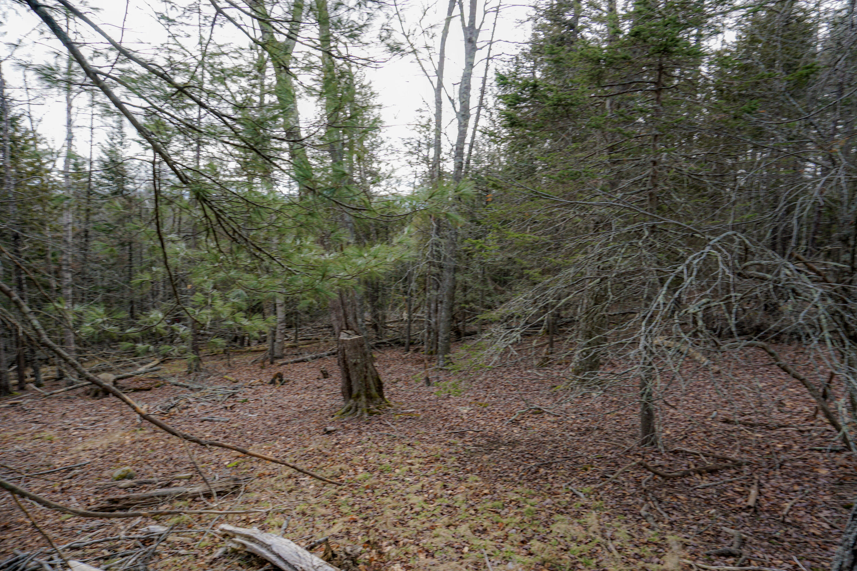 0 Main Road Islesboro, ME 04848 - Photo 39 of 44 16-_DSC1697