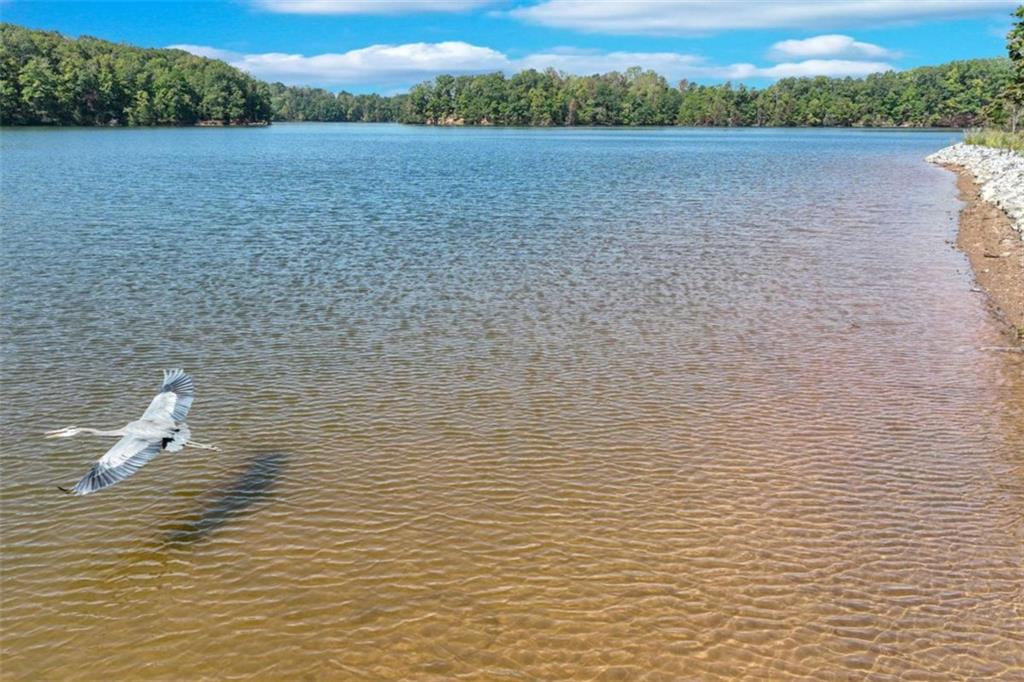 4632 A Shirley Road Gainesville, GA 30506 - Photo 66 of 72