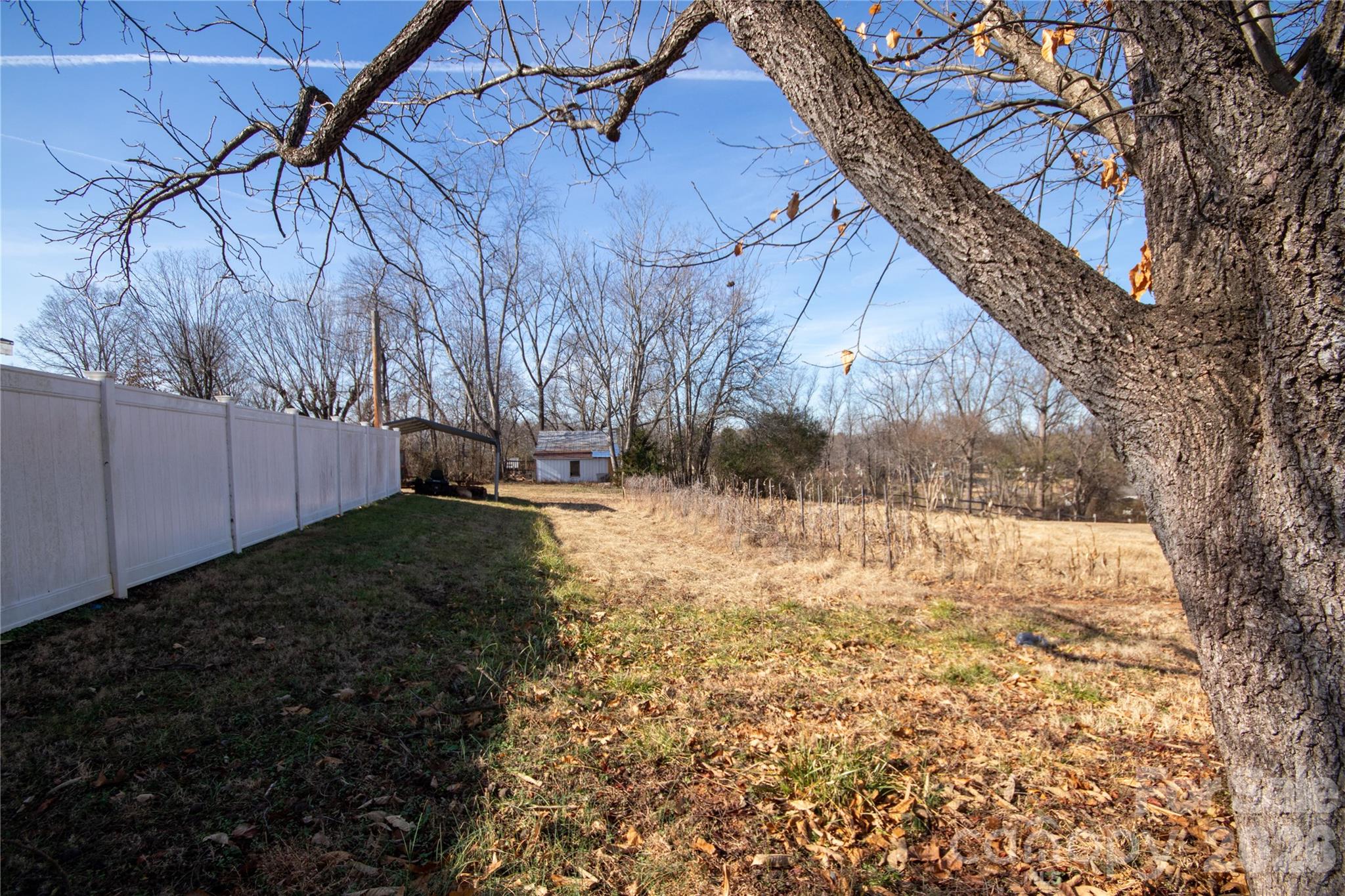 231 Cedar Valley Road Hudson, NC 28638 - Photo 32 of 33 a view of yard with green space