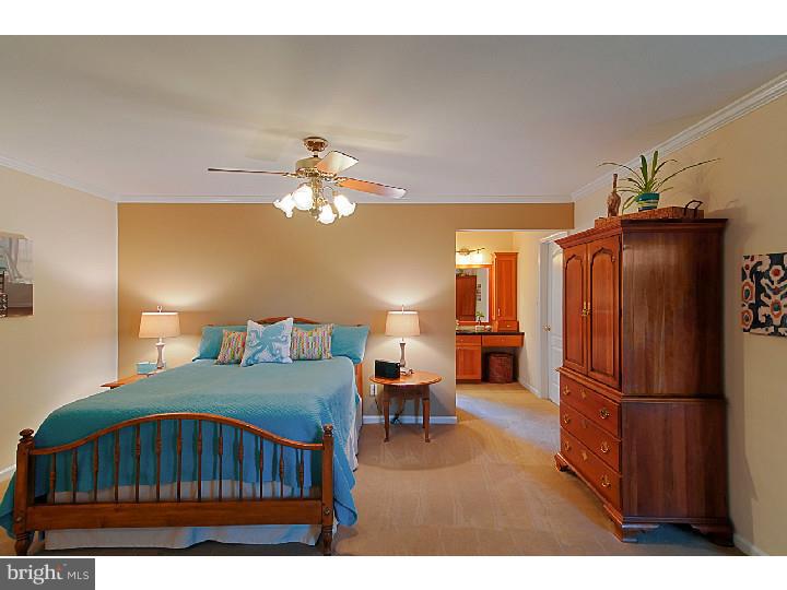 316 Long Ridge Lane Exton, PA 19341 - Photo 11 of 24 Master Bedroom