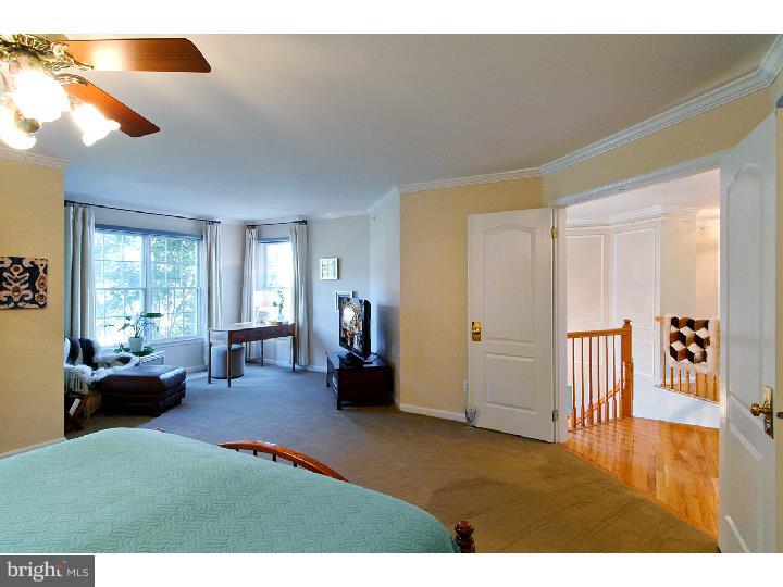 316 Long Ridge Lane Exton, PA 19341 - Photo 12 of 24 Master Bedroom