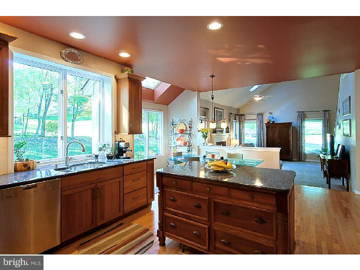 316 Long Ridge Lane Exton, PA 19341 - Photo 8 of 24 Kitchen