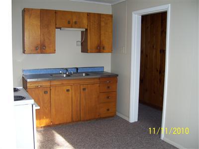 21743 West 5 Mile Road Reed City, MI 49677 - Photo 3 of 7 Additional Photo