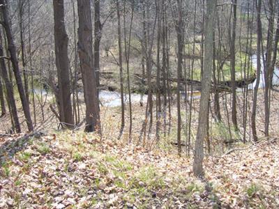 21743 West 5 Mile Road Reed City, MI 49677 - Photo 5 of 7 Additional Photo